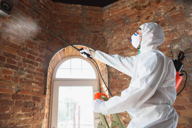 Concord, VA Mold Removal Company